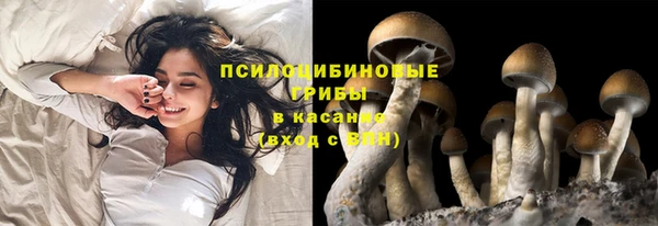мяу мяу кристалл Алексин