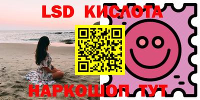 шишки Лесосибирск