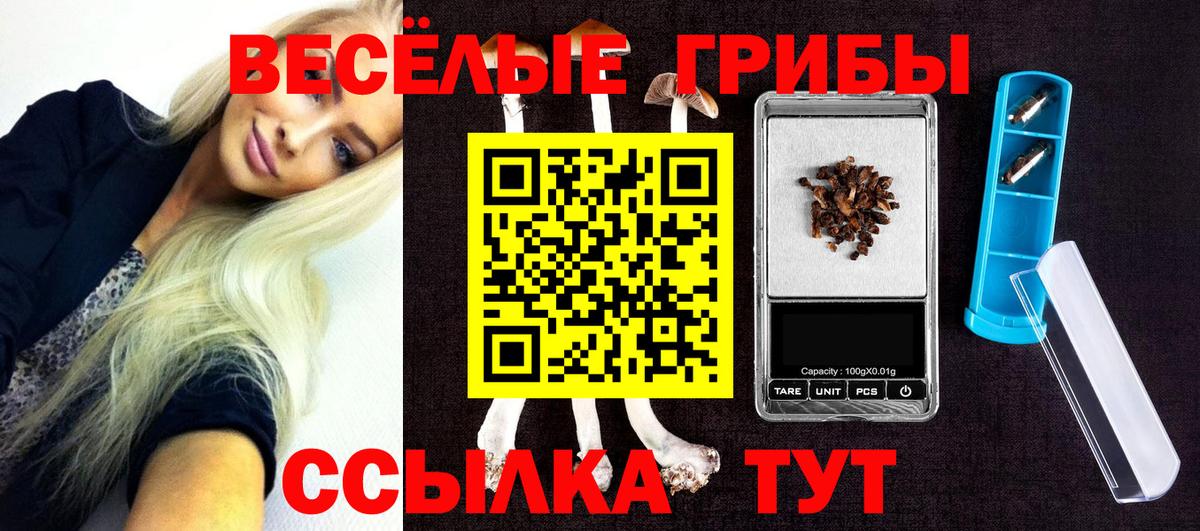 Коряжма  Галлюциногенные грибы Psilocybe  Вход с VPN 