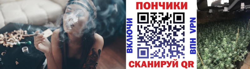 mega зеркало  Коряжма  МАРИХУАНА сатива  цены наркотик 